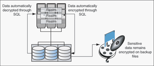 Description of Figure 12-1 follows