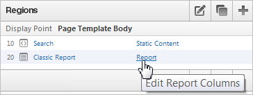 Description of rpt_edit.png follows