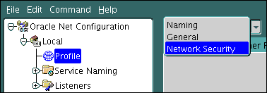 Description of GUID-1A72A9B7-5E38-430A-8648-47B183FD753A-default.gif follows